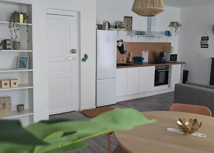 Daire Cosy Oasis - T3 - Grande Terrasse Collective